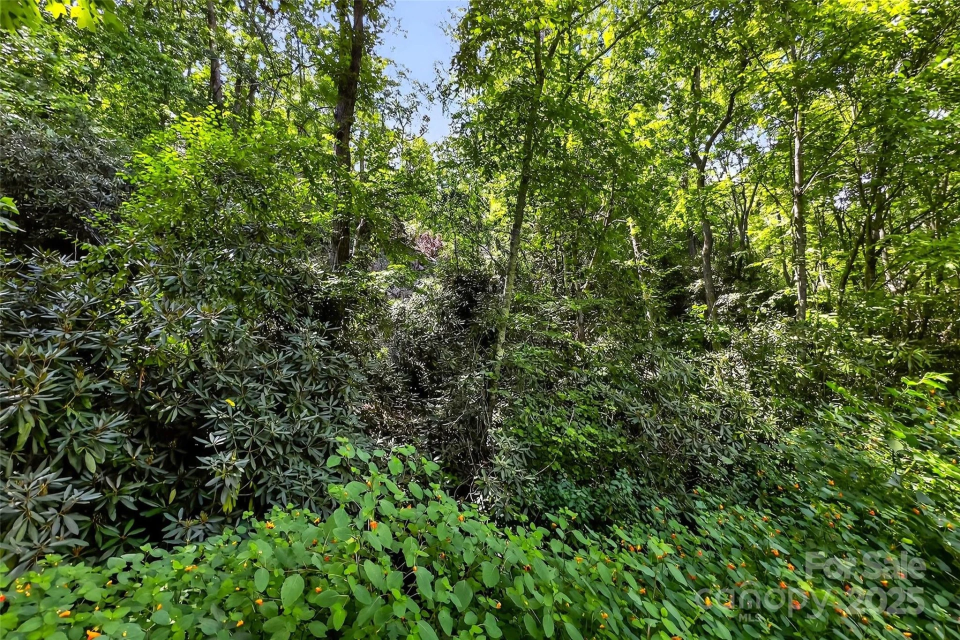 99999 Yates Avenue - Photo 4