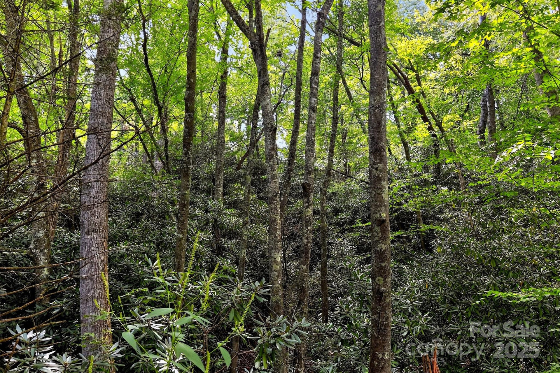 99999 Yates Avenue - Photo 6