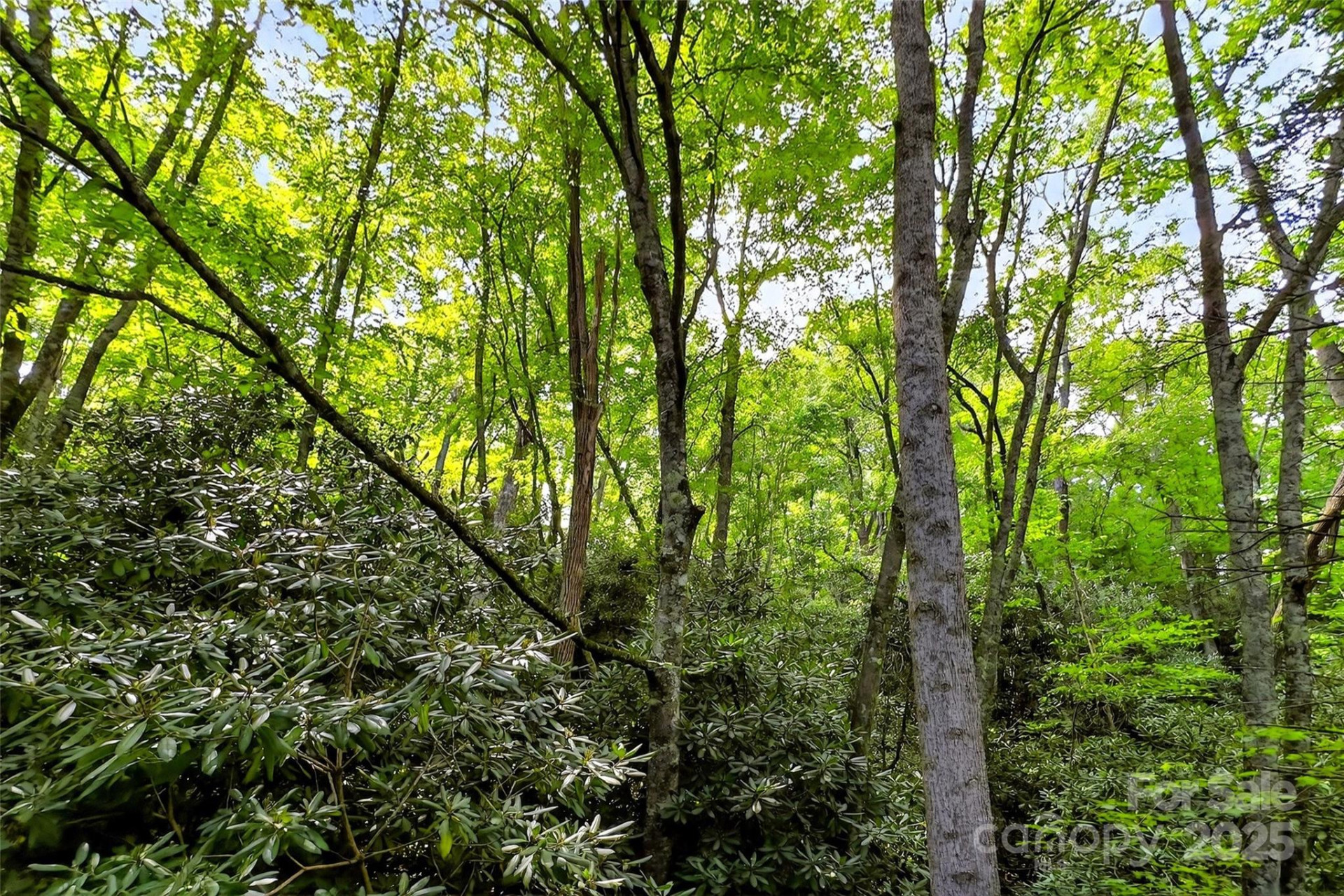 99999 Yates Avenue - Photo 7