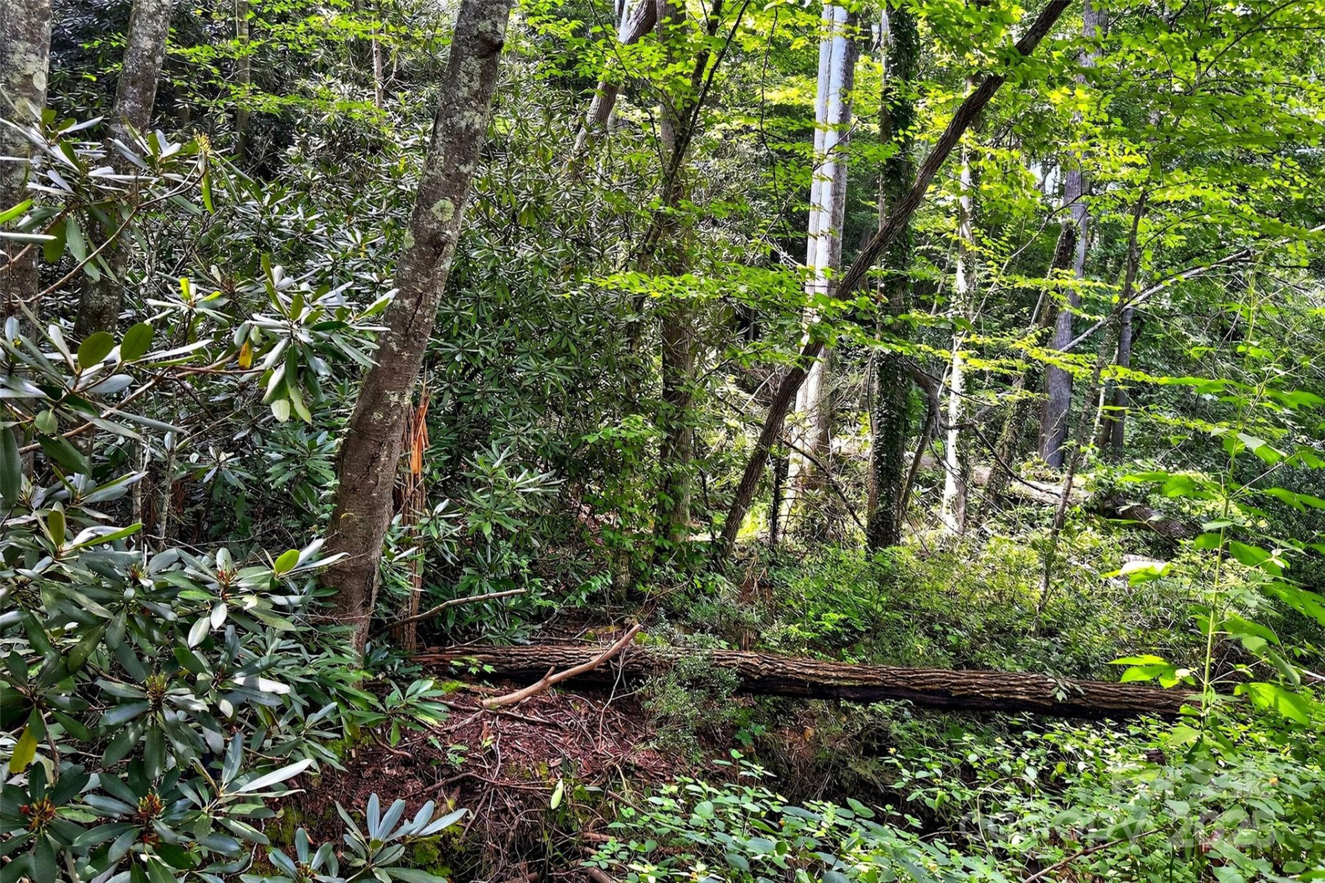 99999 Yates Avenue - Photo 8