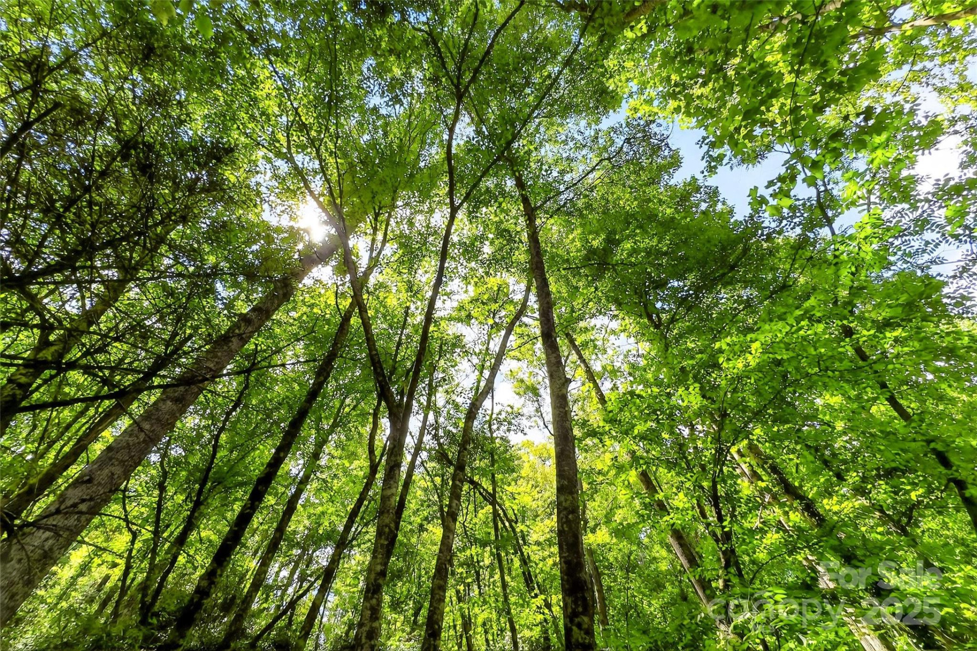 99999 Yates Avenue - Photo 9