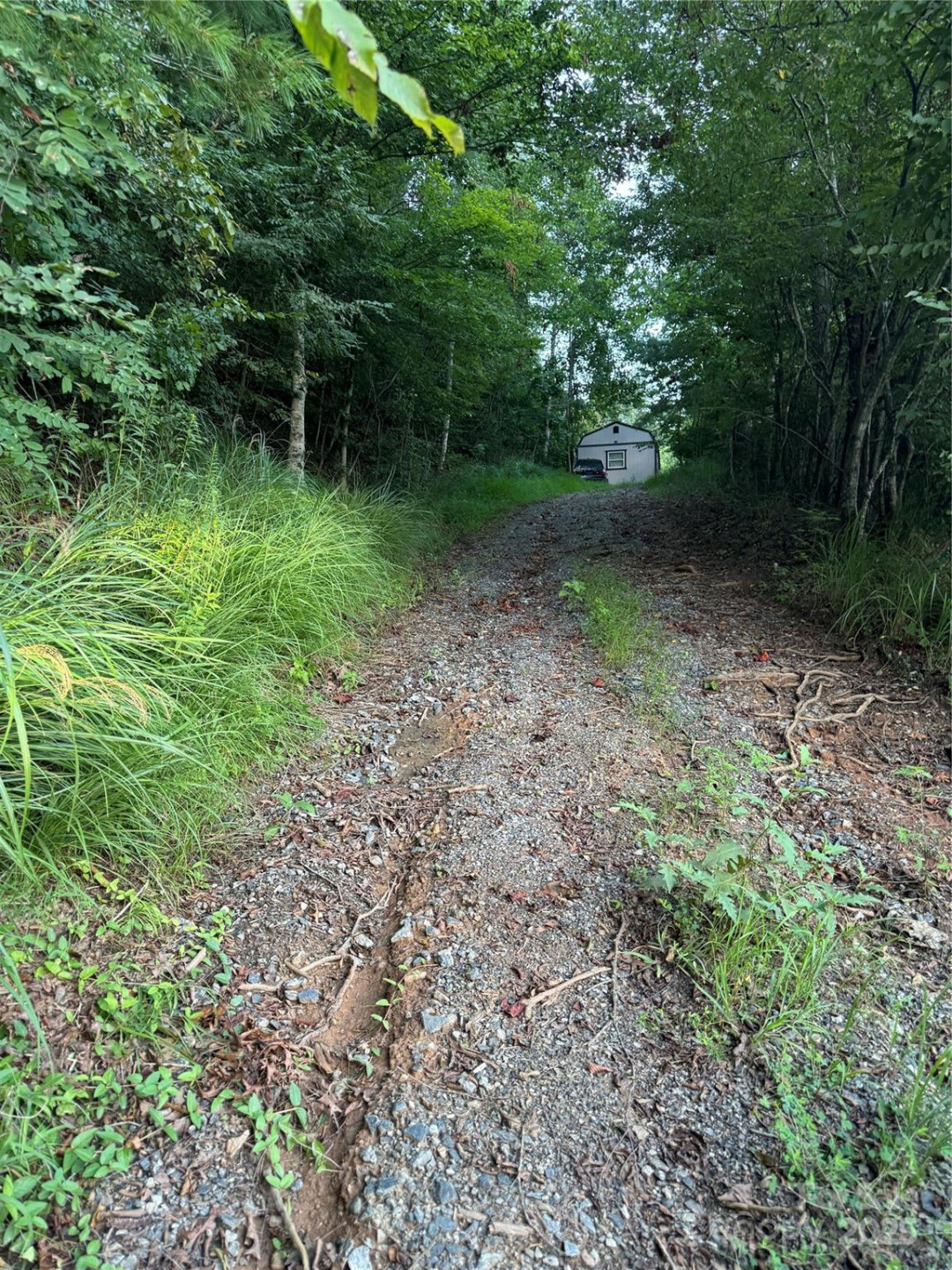 TBD Grapevine Road