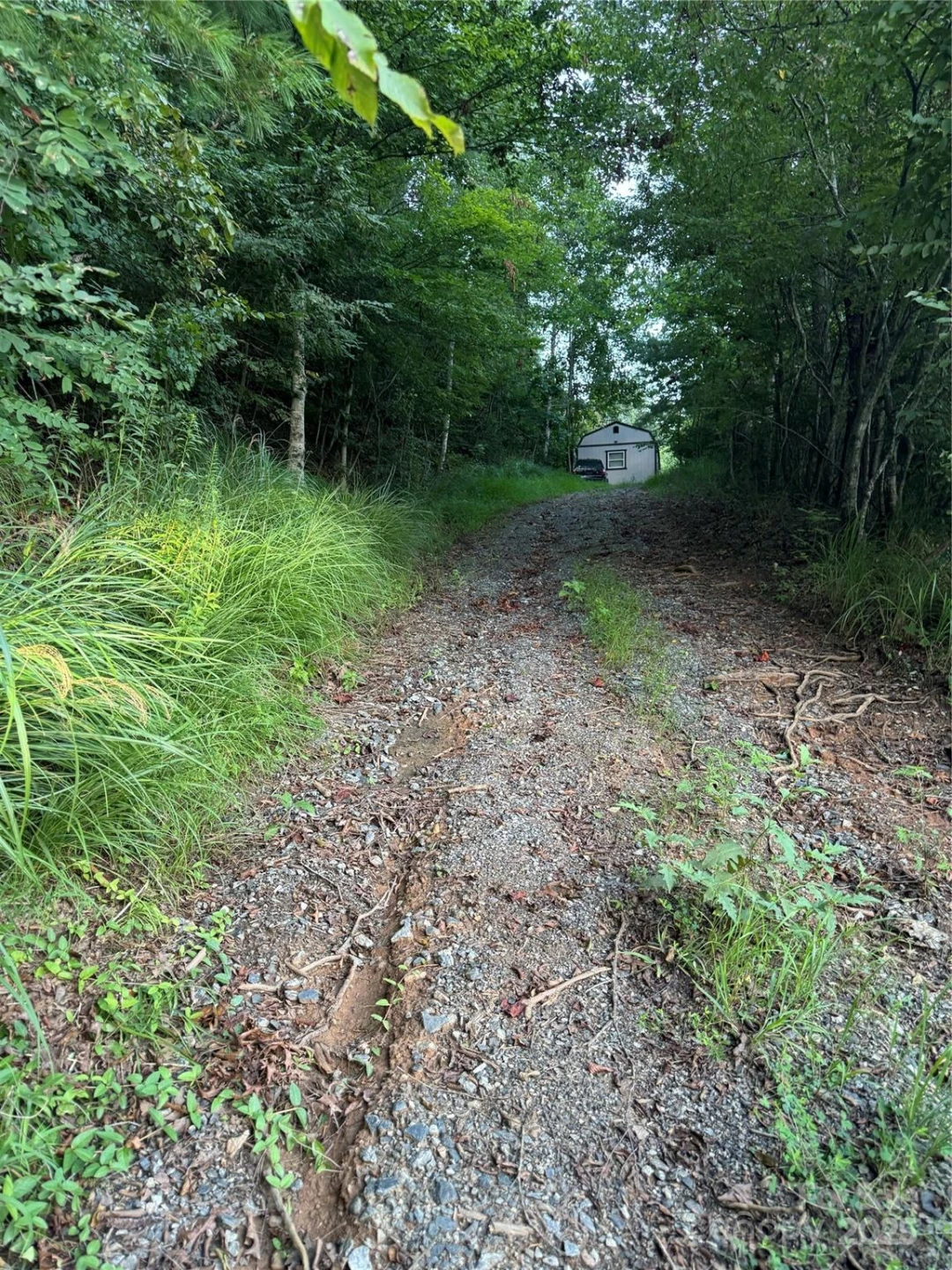 TBD Grapevine Road