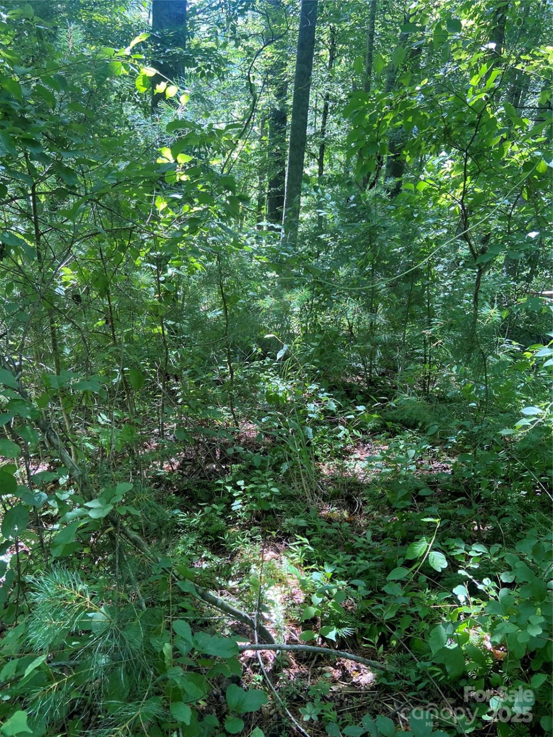 TBD Grapevine Road - Photo 14