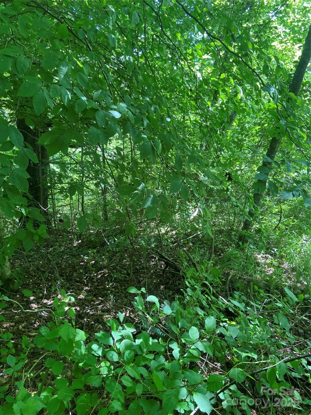 TBD Grapevine Road - Photo 15