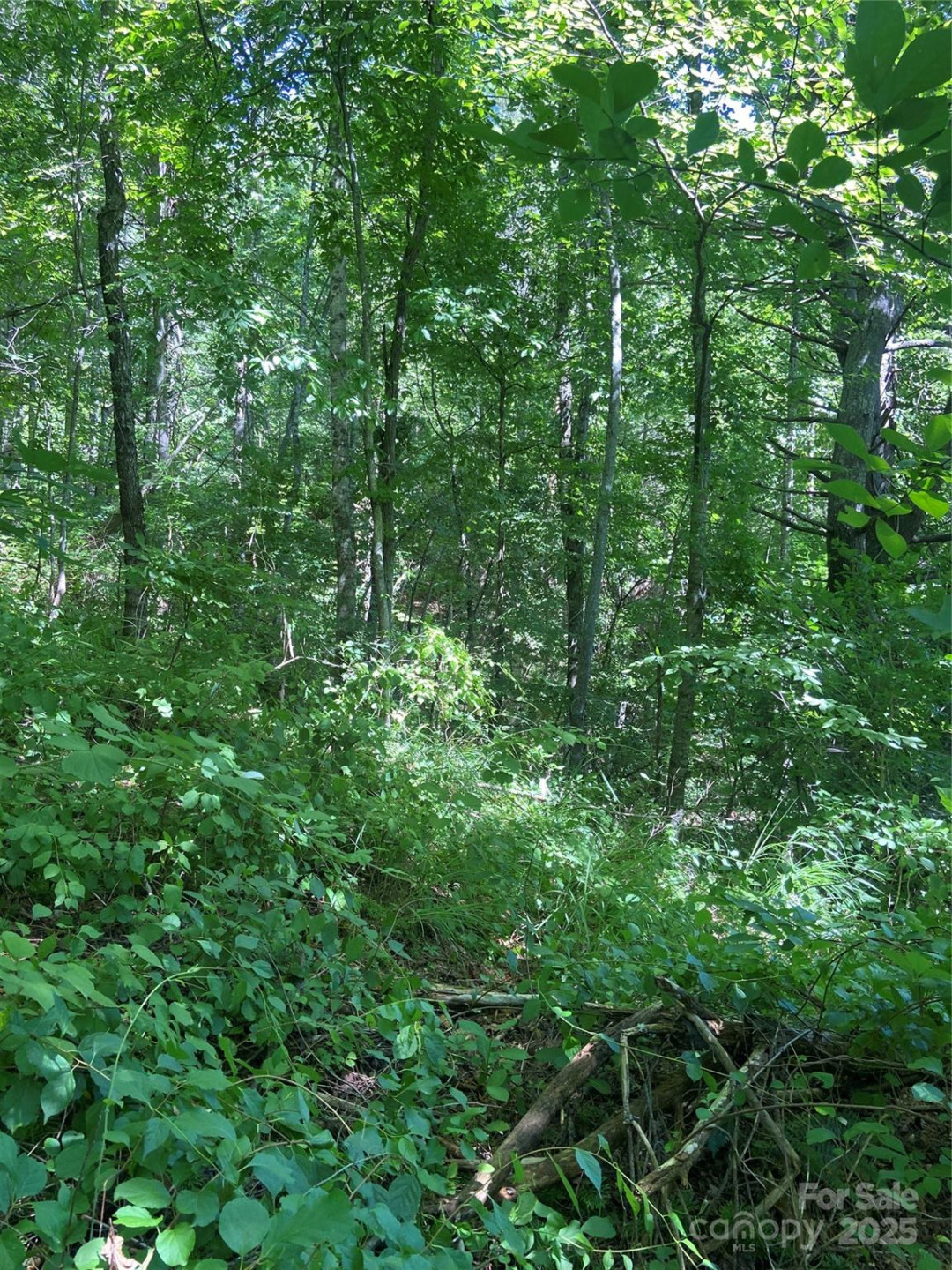 TBD Grapevine Road - Photo 16