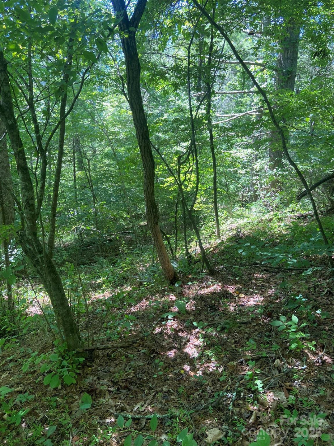 TBD Grapevine Road - Photo 18