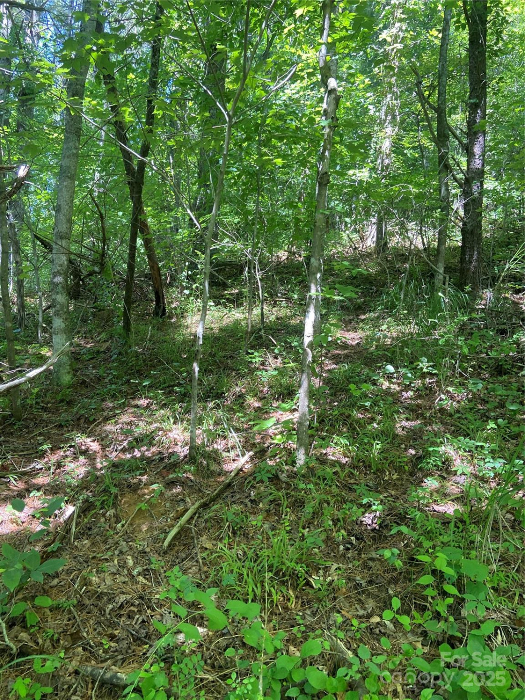 TBD Grapevine Road - Photo 19