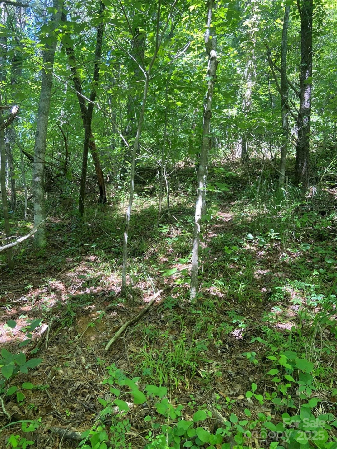 TBD Grapevine Road - Photo 19