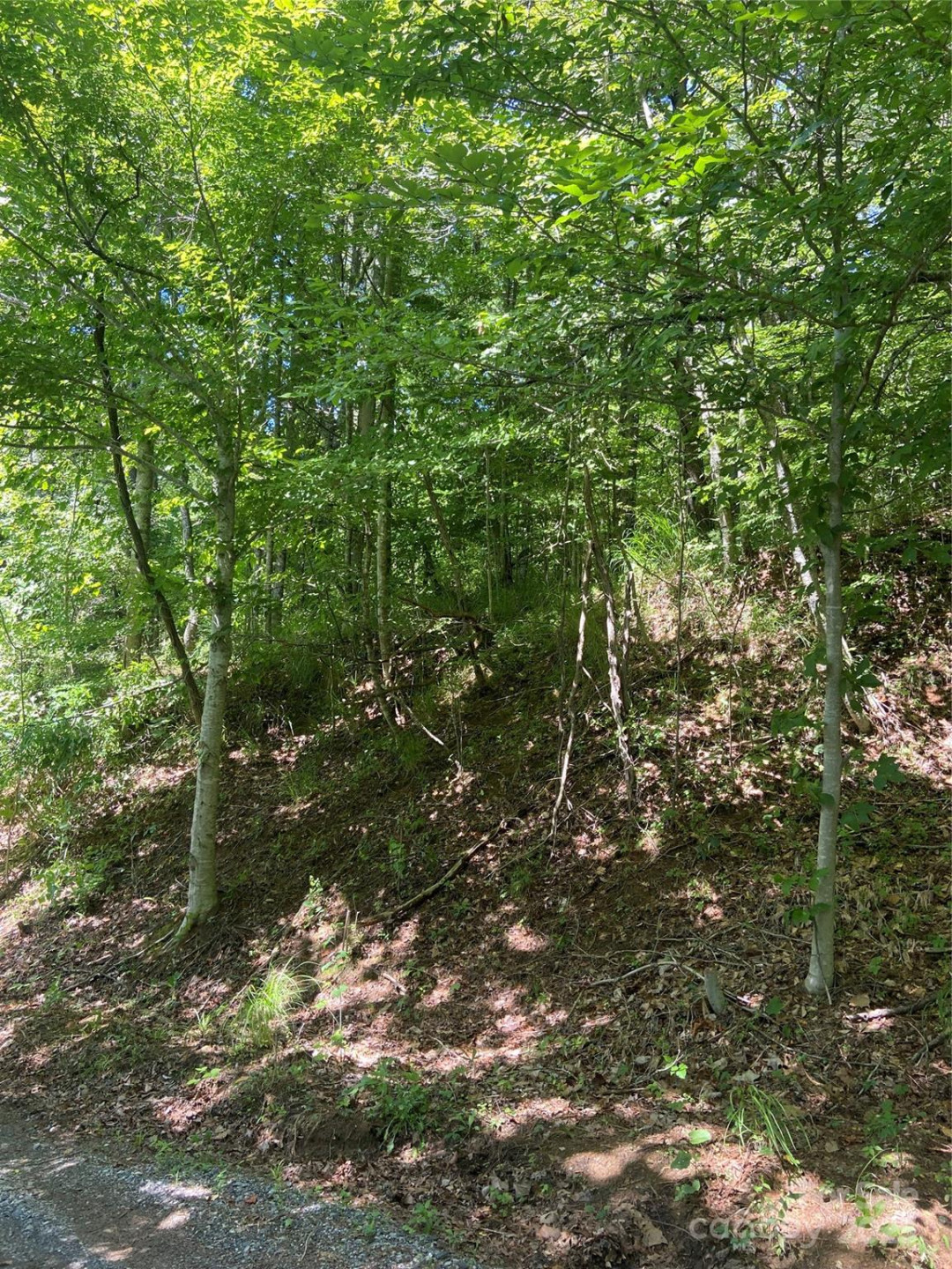 TBD Grapevine Road - Photo 20
