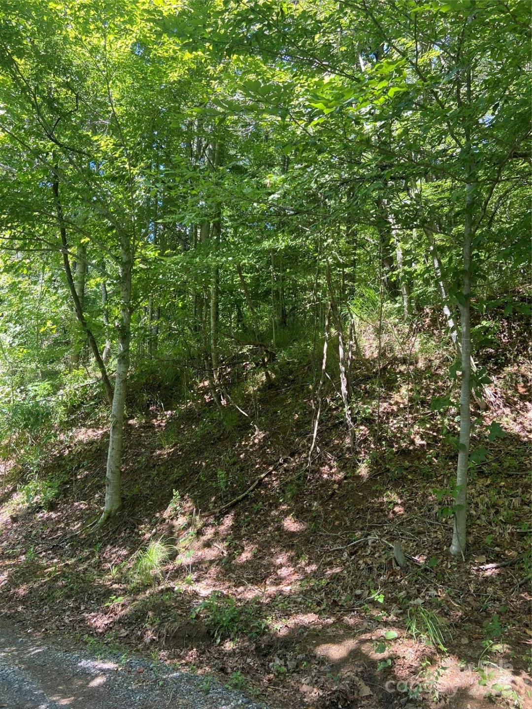 TBD Grapevine Road - Photo 20