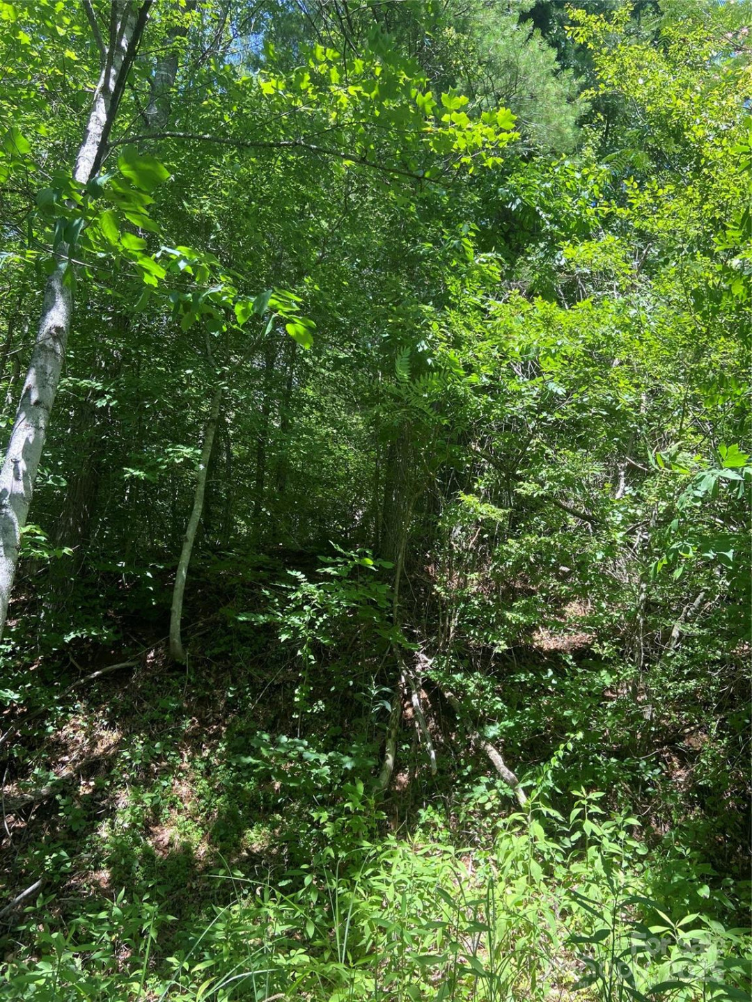 TBD Grapevine Road - Photo 21
