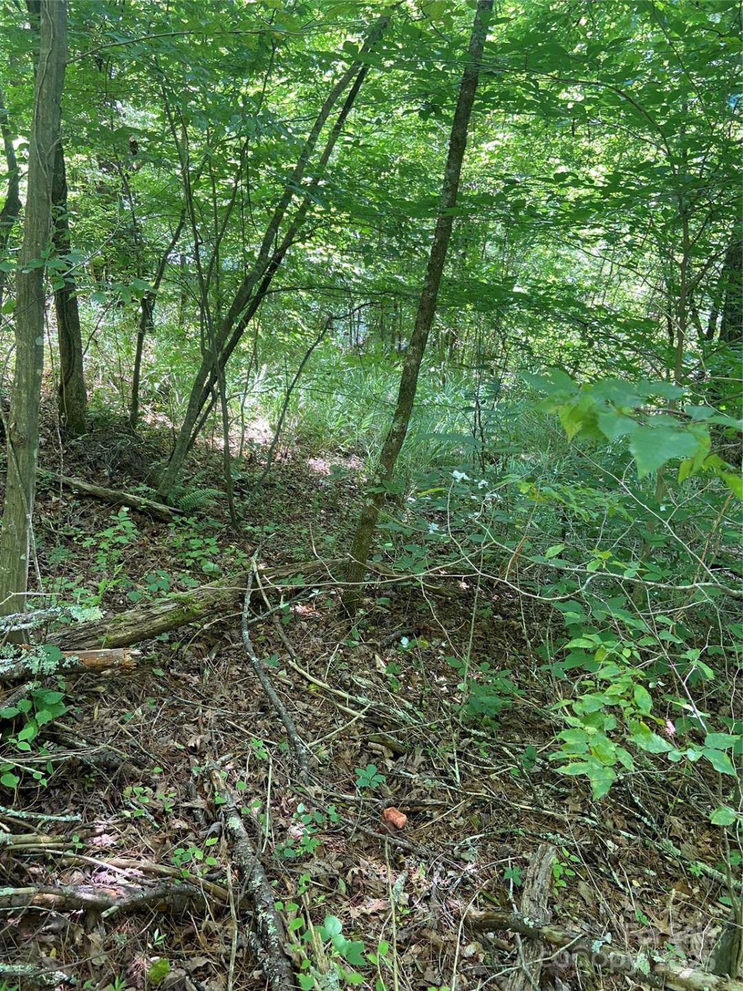 TBD Grapevine Road - Photo 22