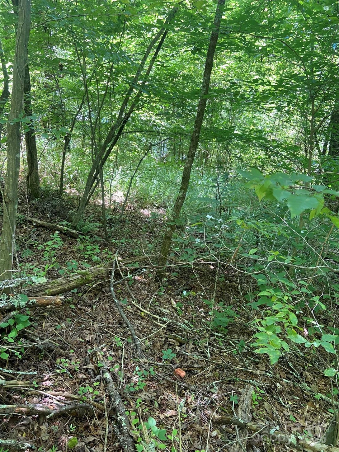 TBD Grapevine Road - Photo 22