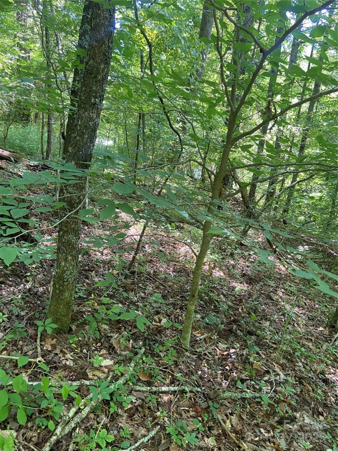 TBD Grapevine Road - Photo 23