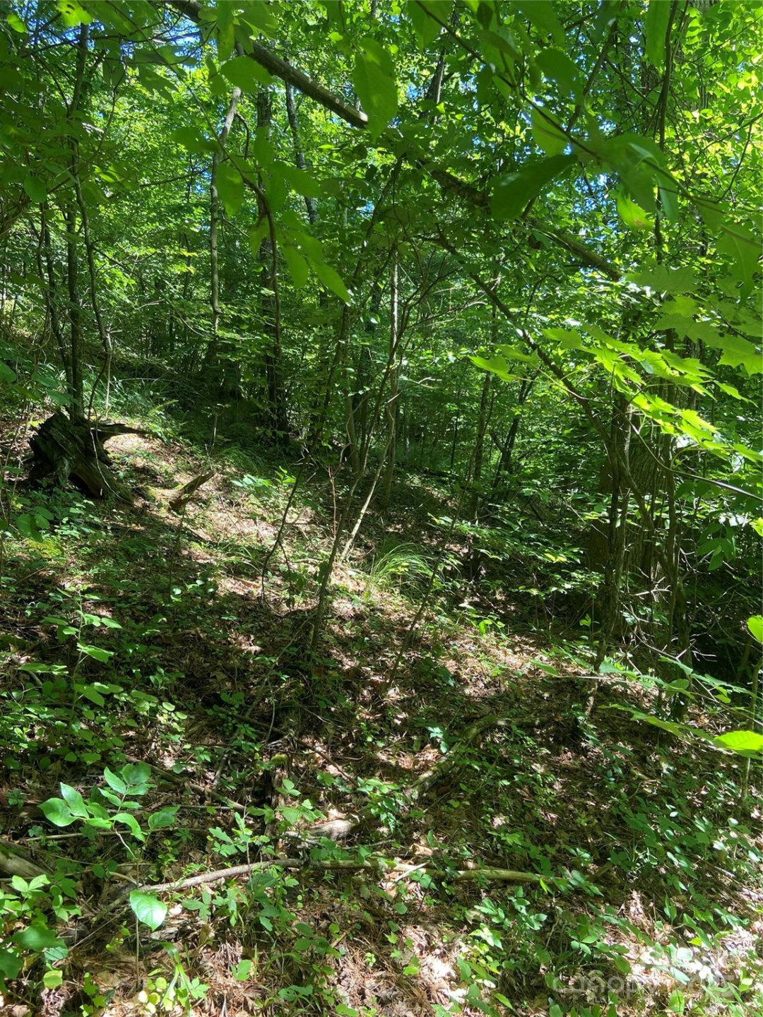 TBD Grapevine Road - Photo 24