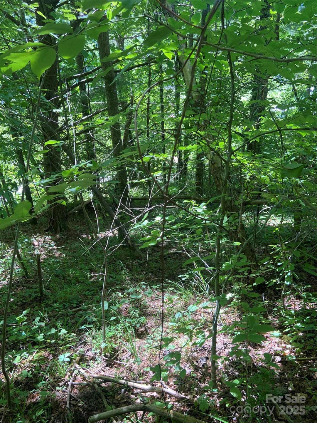 TBD Grapevine Road - Photo 25