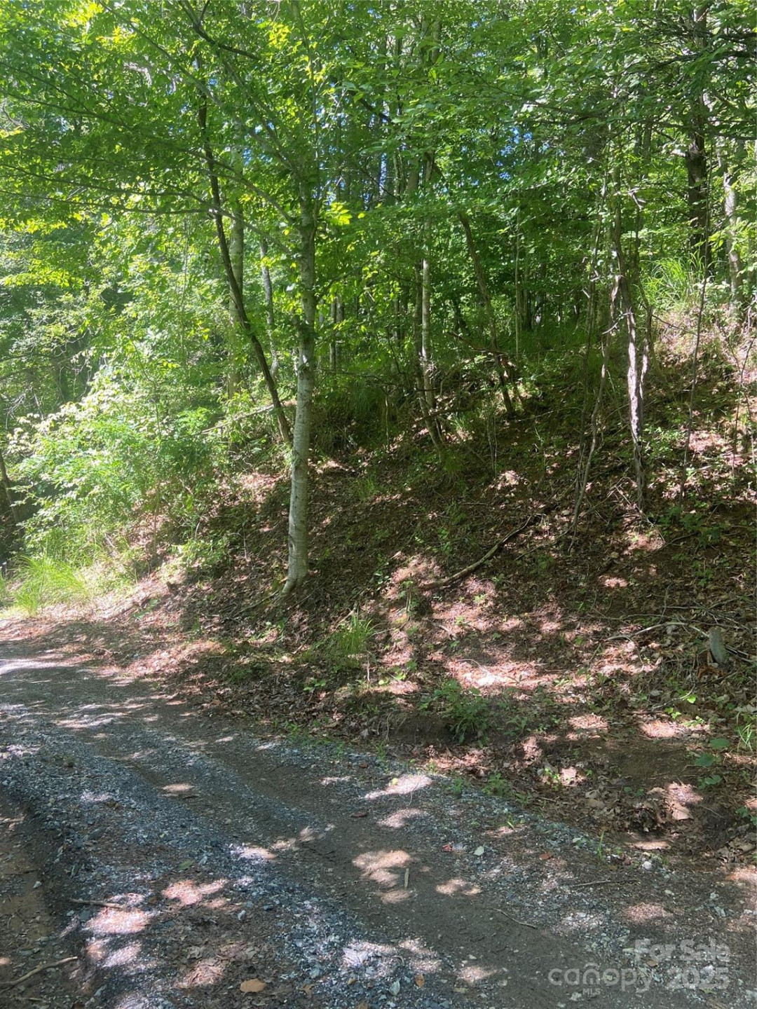 TBD Grapevine Road - Photo 27