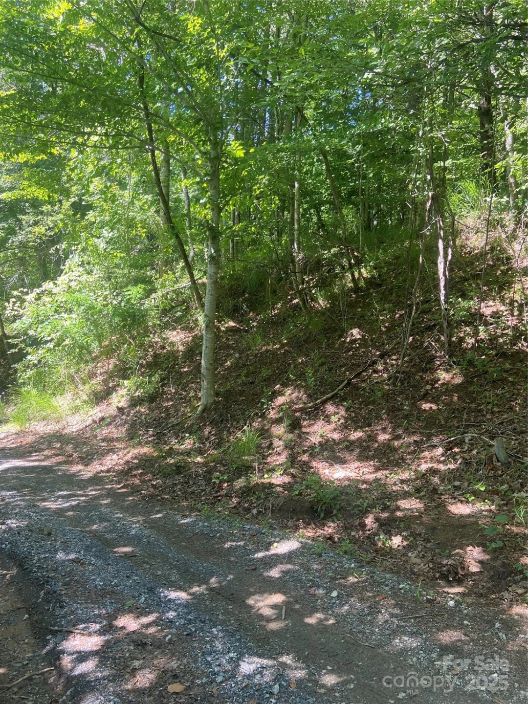 TBD Grapevine Road - Photo 27
