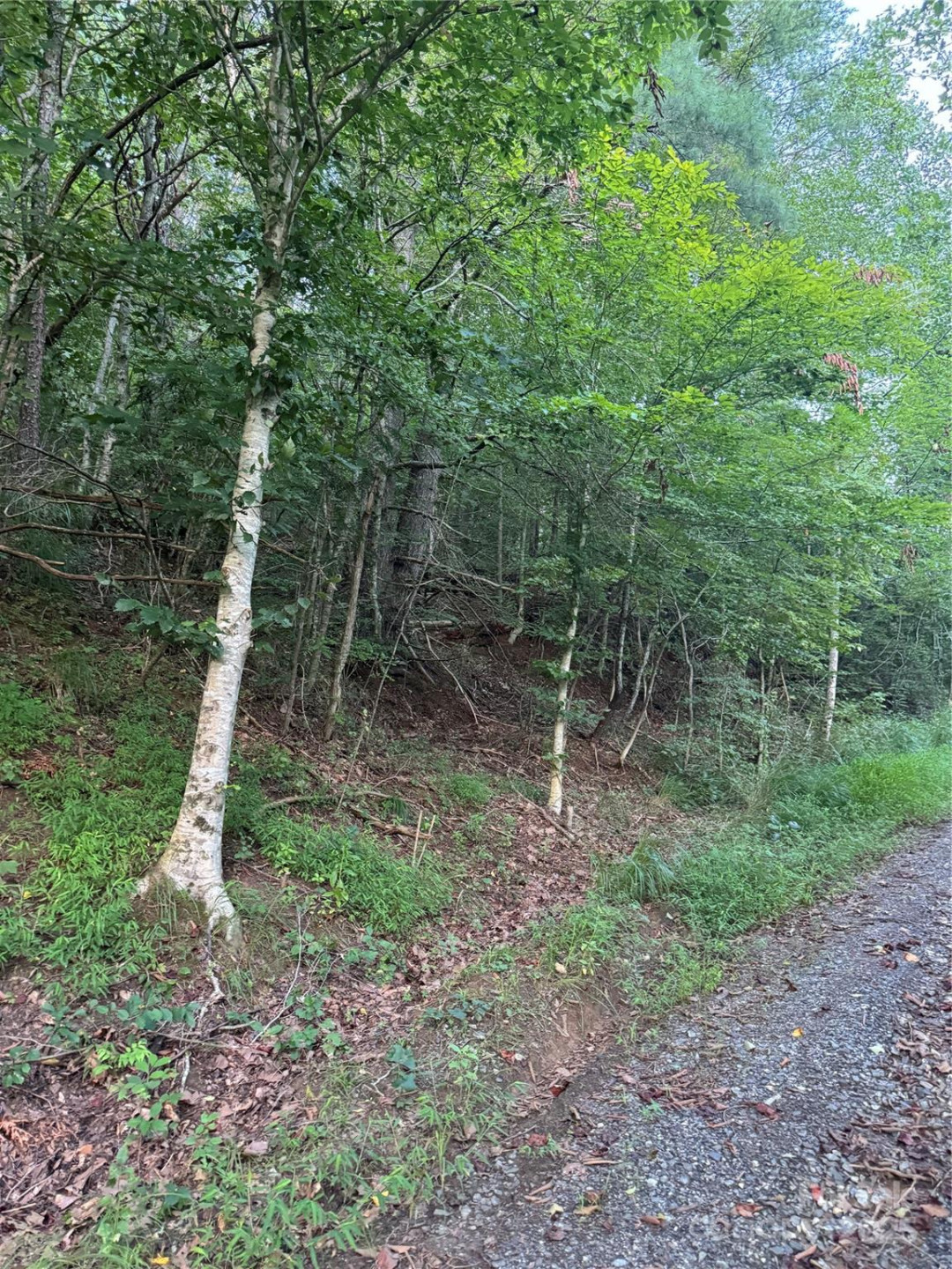 TBD Grapevine Road - Photo 6