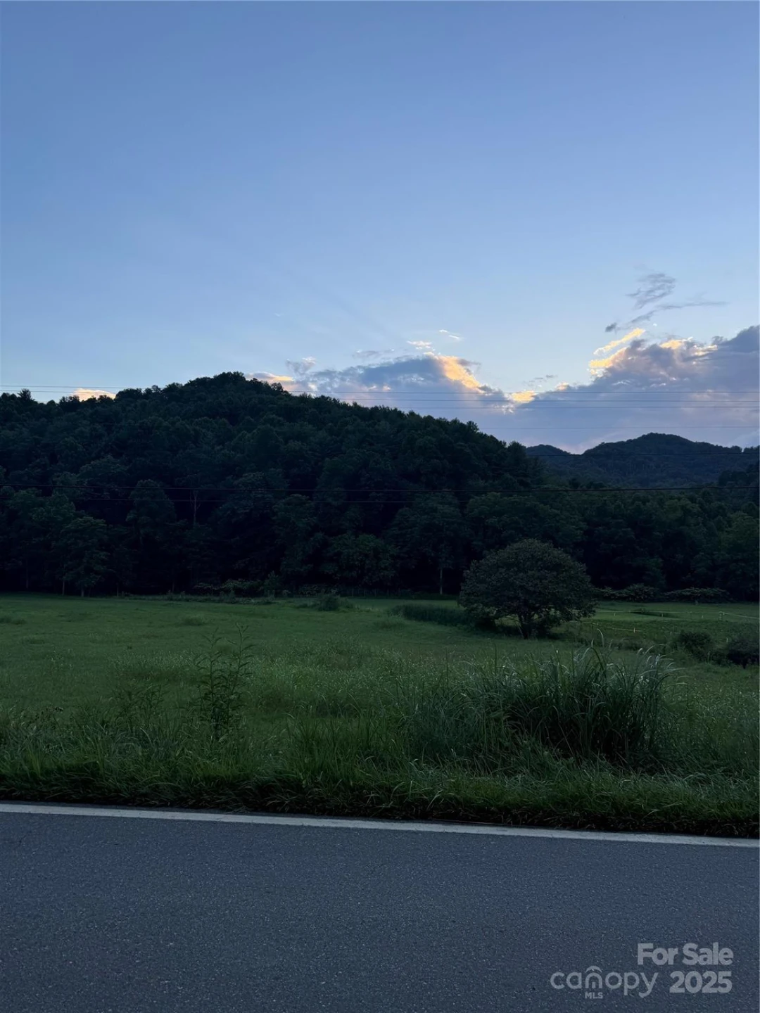 TBD Grapevine Road - Photo 9