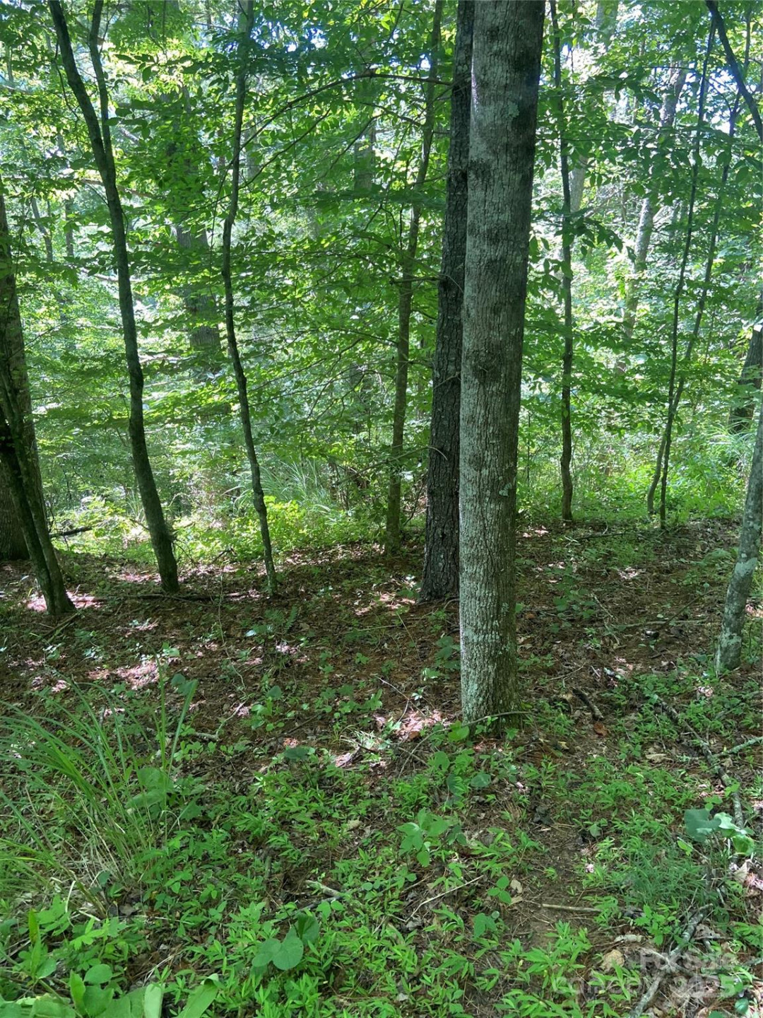 TBD Grapevine Road - Photo 10