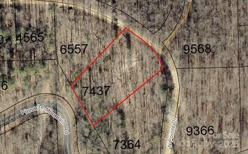 99999 Pointe Drive, Zirconia, NC, 28790