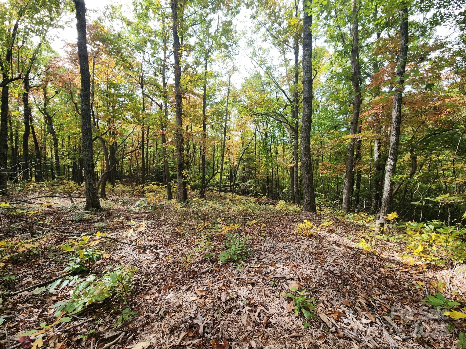 99999 Pointe Drive #2 - Photo 2