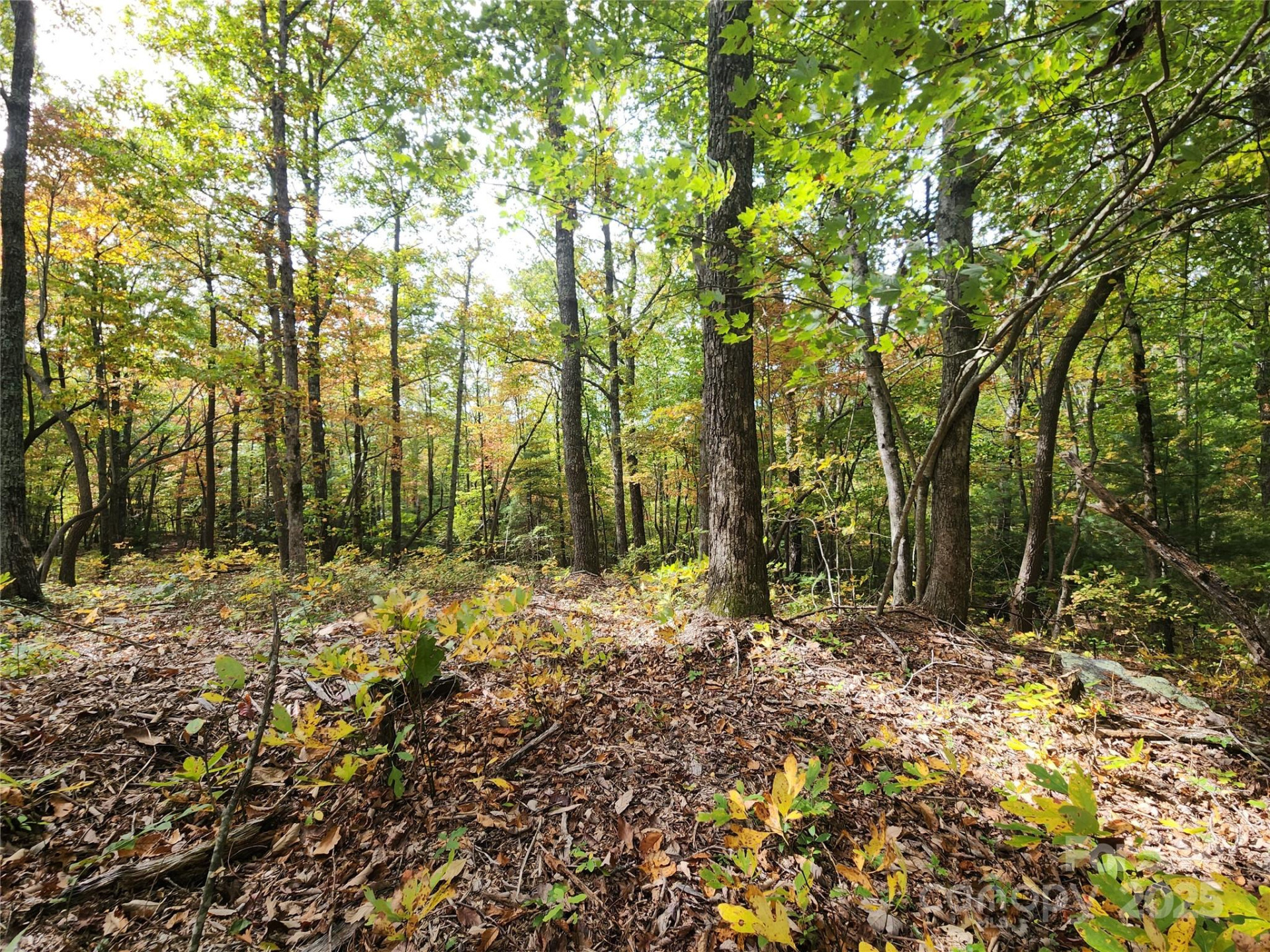 99999 Pointe Drive #2 - Photo 3