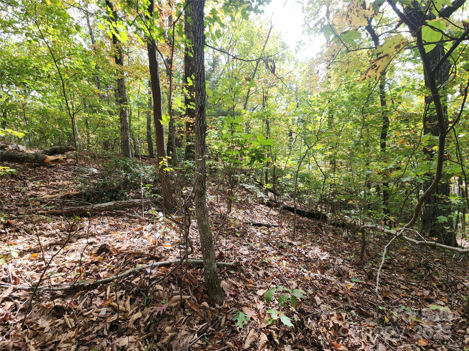 99999 Pointe Drive #3 - Photo 2