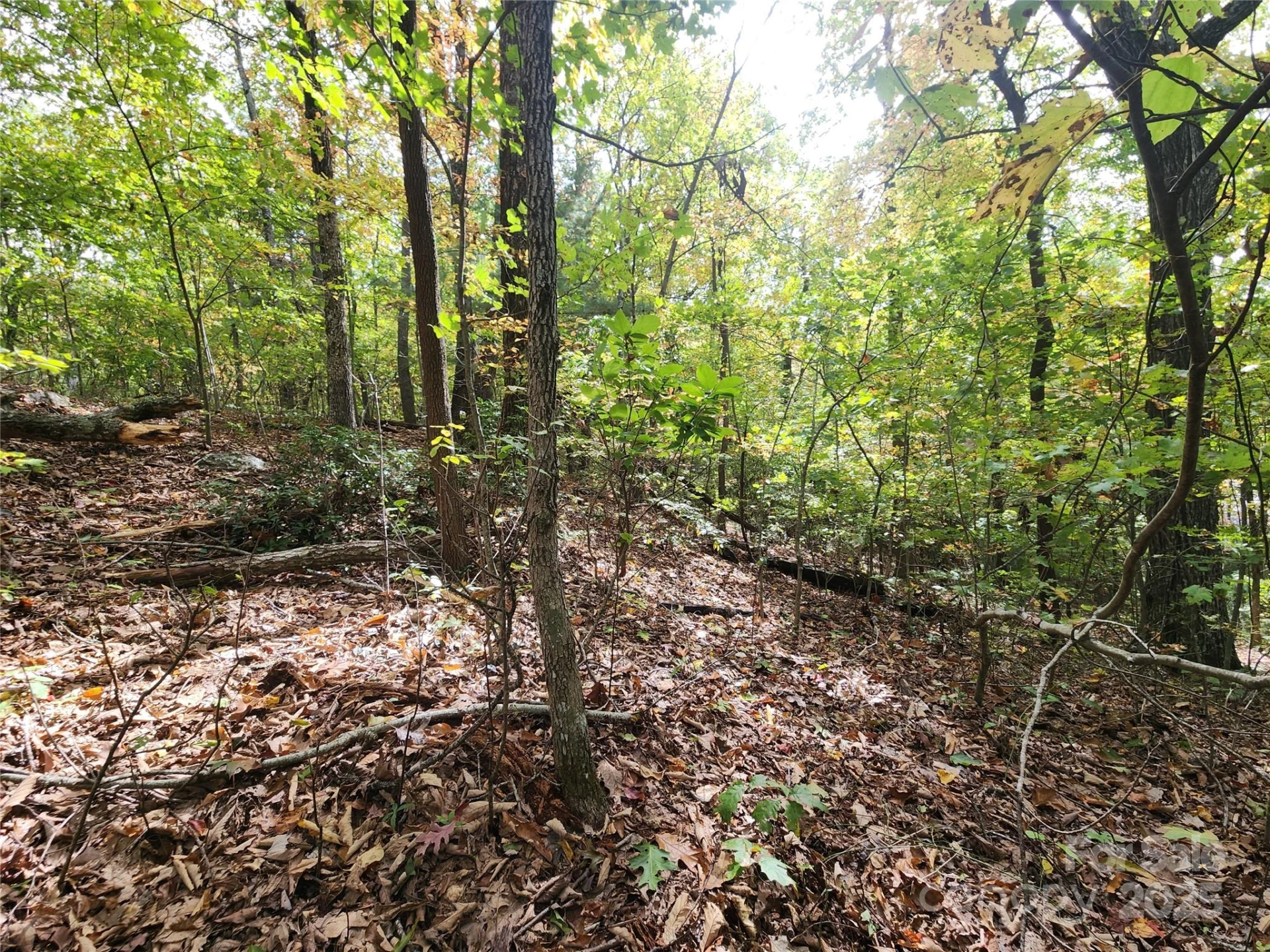 99999 Pointe Drive #3 - Photo 2