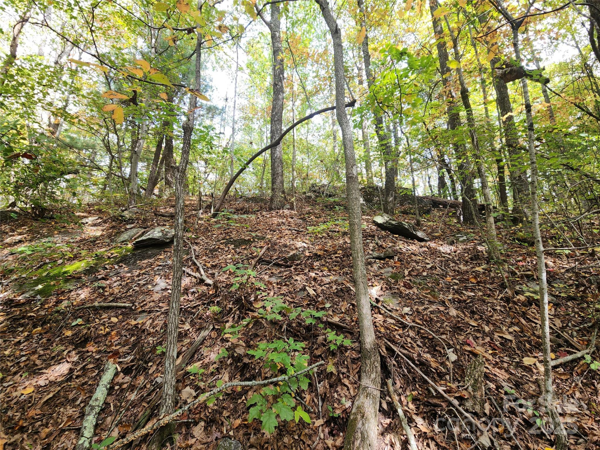 99999 Pointe Drive #3 - Photo 3