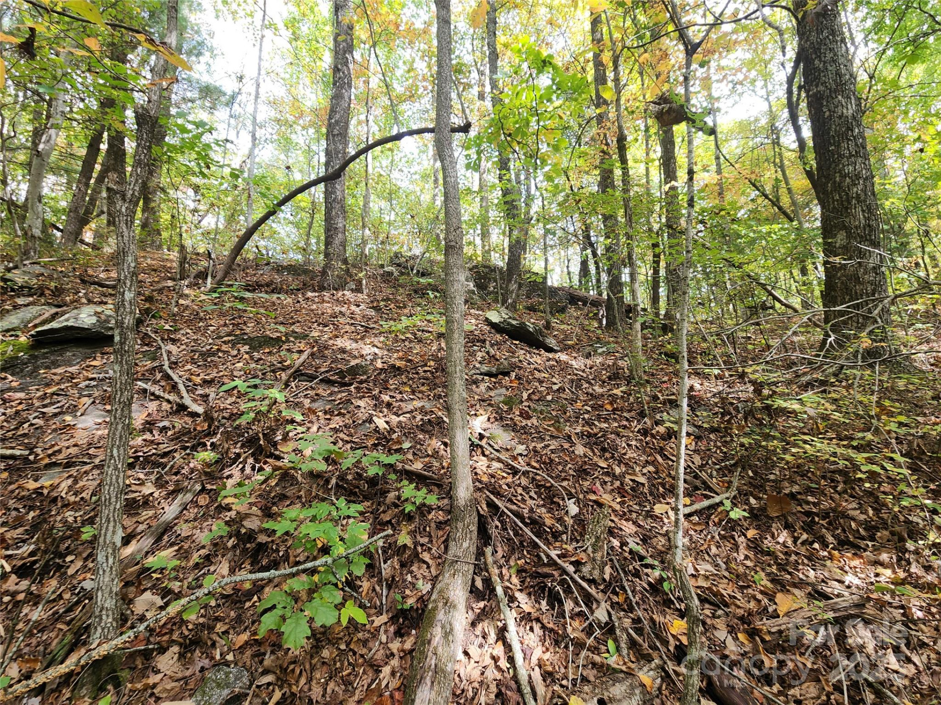 99999 Pointe Drive #3 - Photo 4