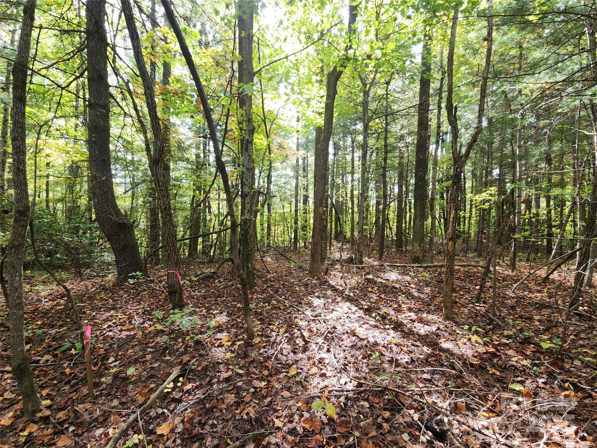 99999 Pointe Drive #5 and #30 - Photo 2