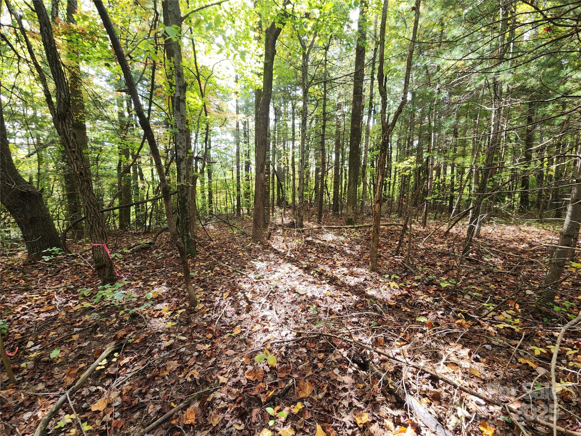 99999 Pointe Drive #5 and #30 - Photo 3