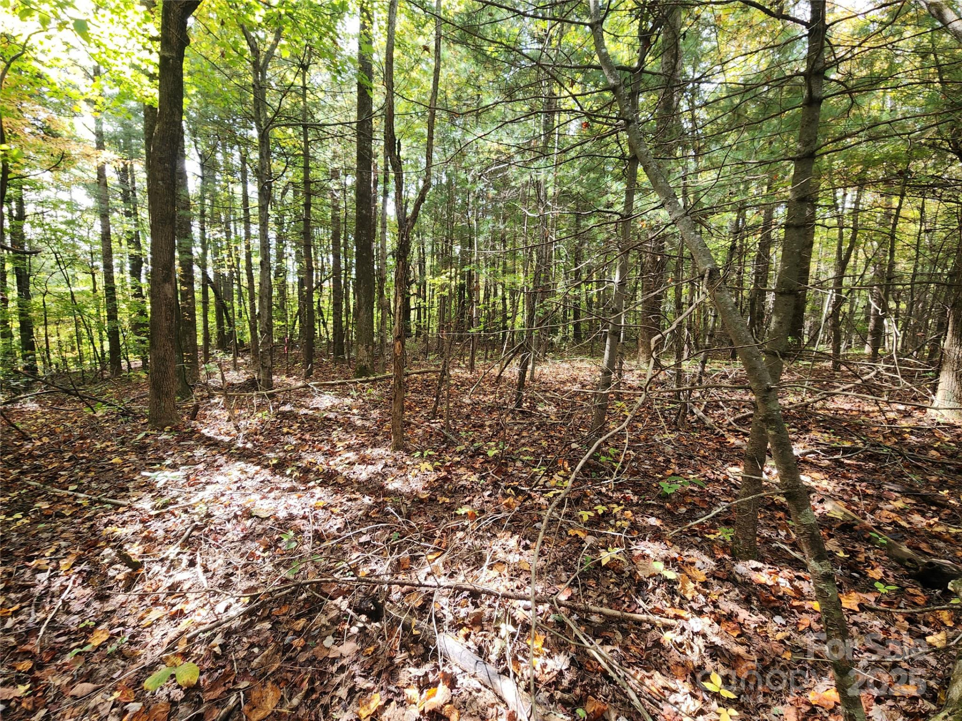 99999 Pointe Drive #5 and #30 - Photo 4