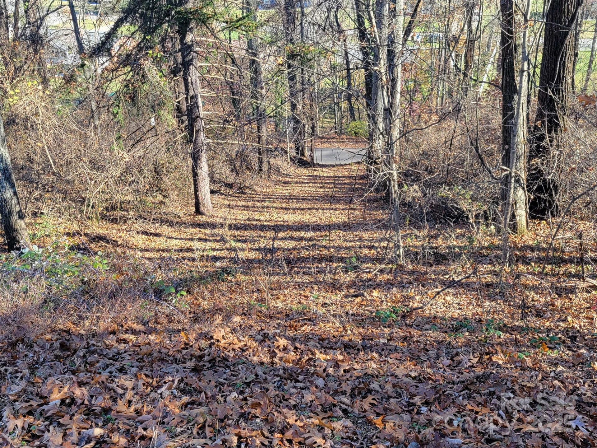 0 Blink Bonny Drive #B11