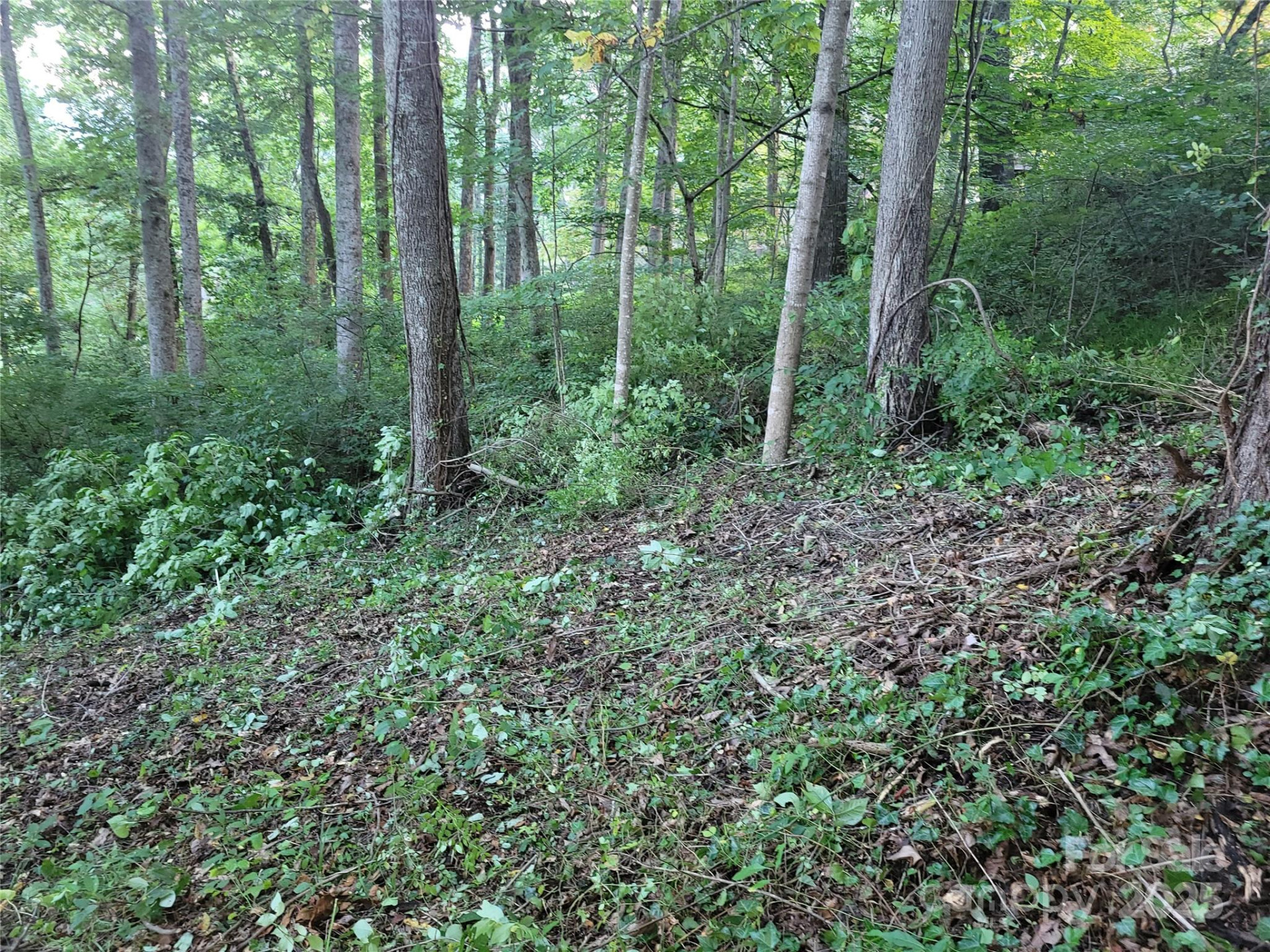 0 Blink Bonny Drive #B11 - Photo 14