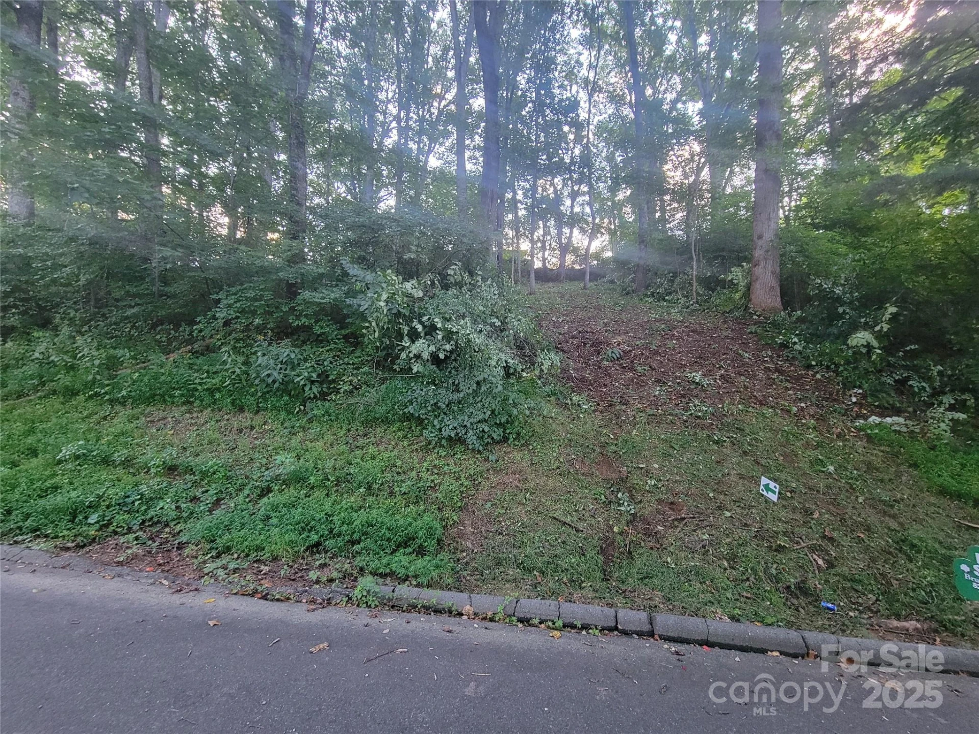 0 Blink Bonny Drive #B11 - Photo 15