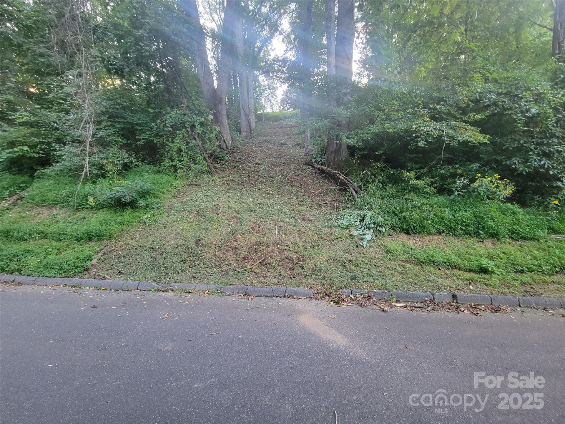 0 Blink Bonny Drive #B11 - Photo 19