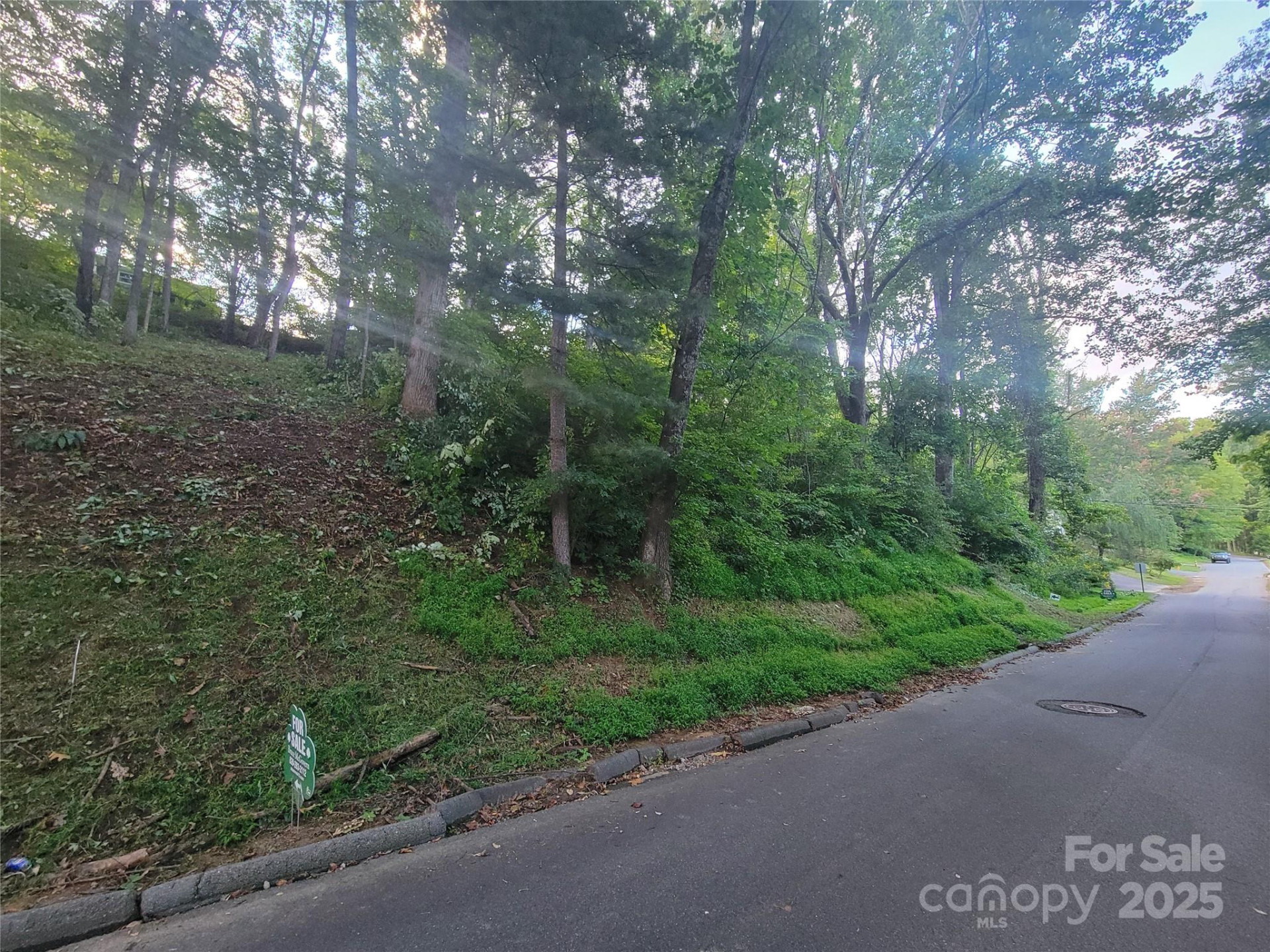 0 Blink Bonny Drive #B11 - Photo 3