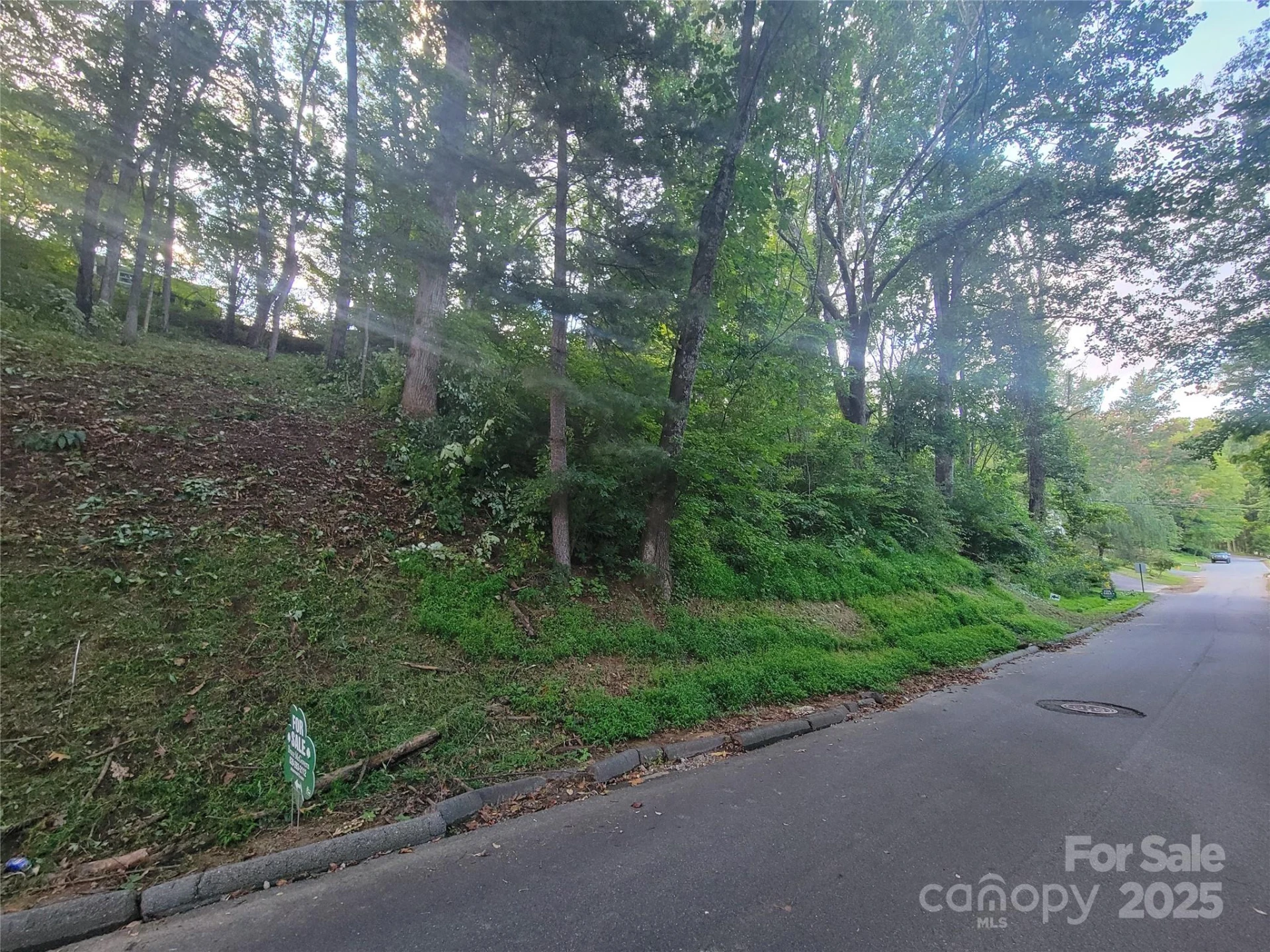 0 Blink Bonny Drive #B11 - Photo 3