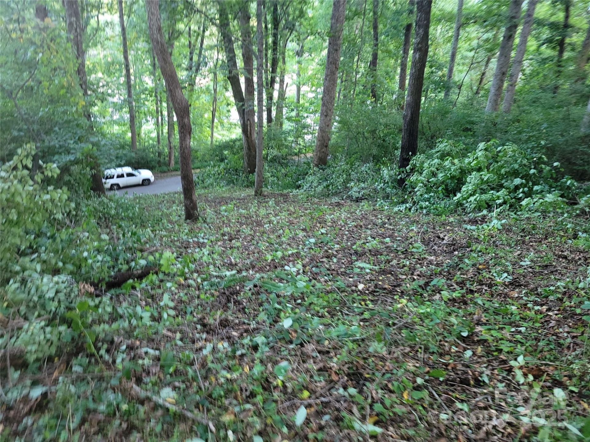 0 Blink Bonny Drive #B11 - Photo 23