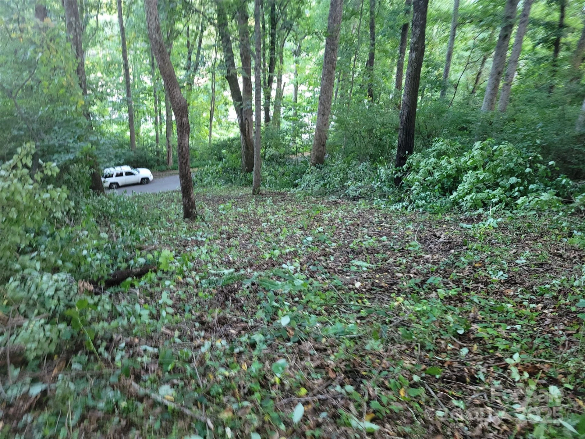 0 Blink Bonny Drive #B11 - Photo 23