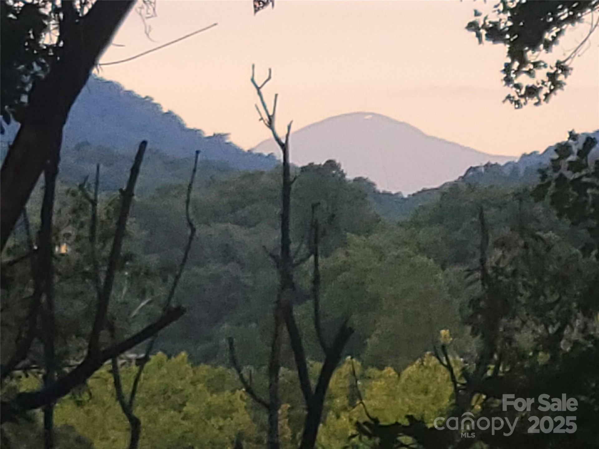 0 Blink Bonny Drive #B11 - Photo 24