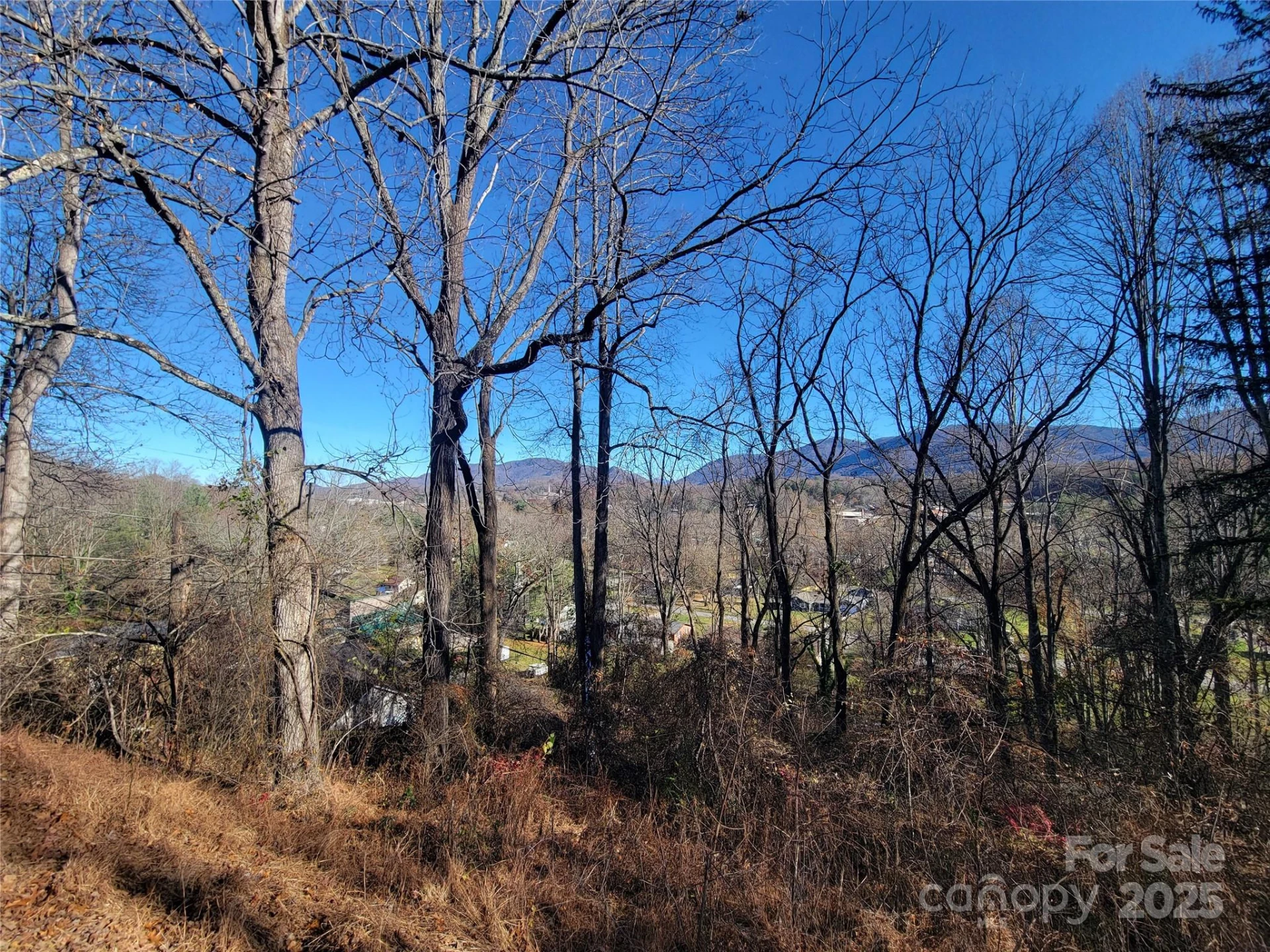 0 Blink Bonny Drive #B11 - Photo 25