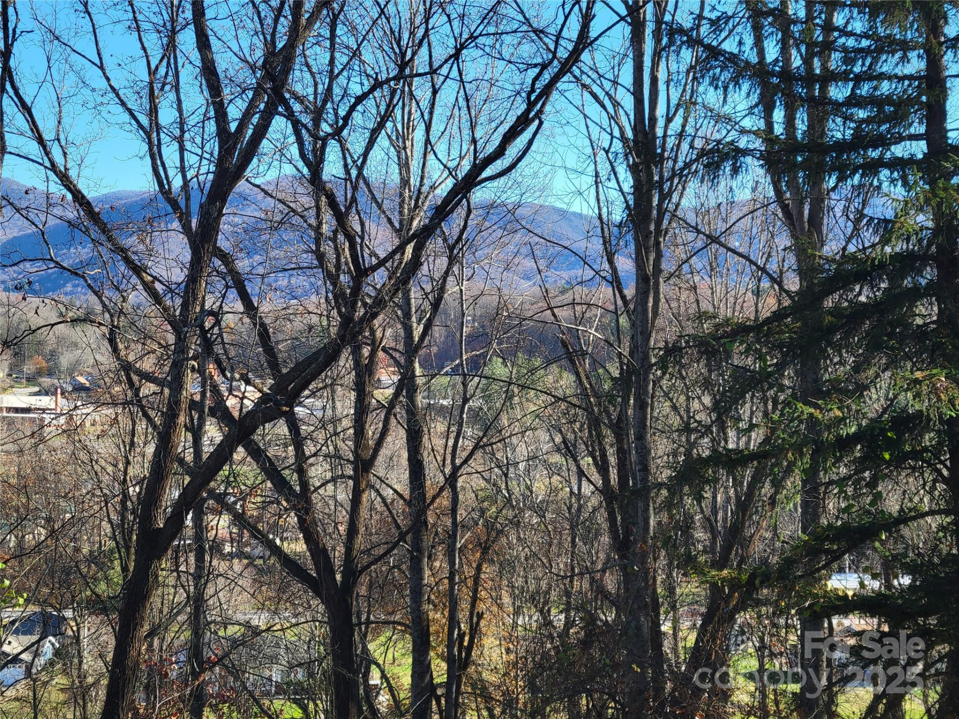 0 Blink Bonny Drive #B11 - Photo 28