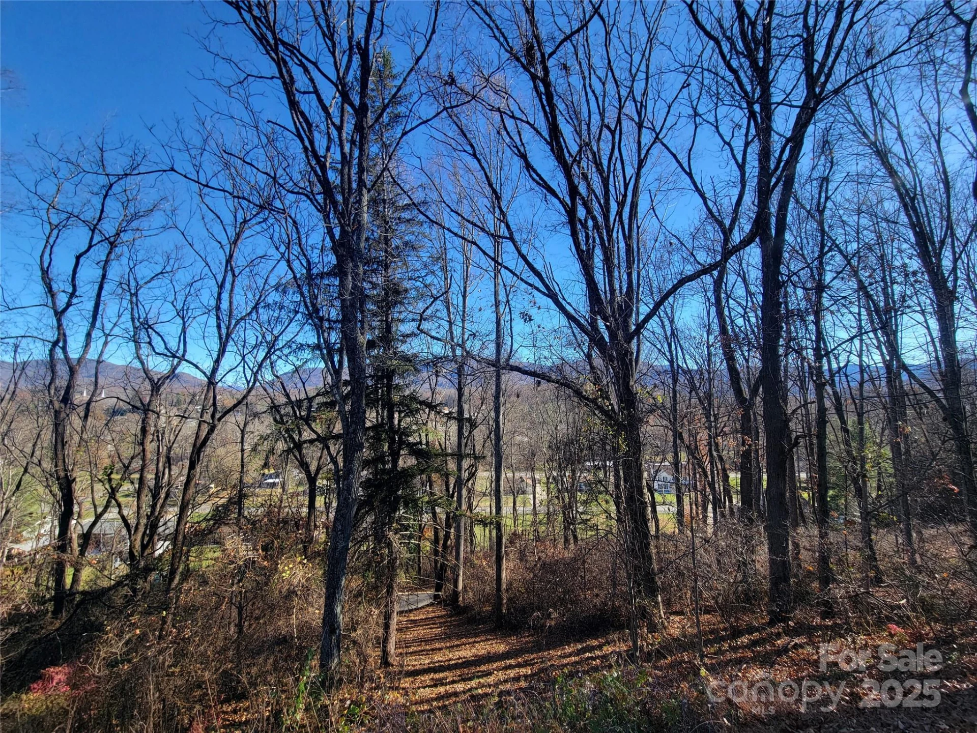 0 Blink Bonny Drive #B11 - Photo 30