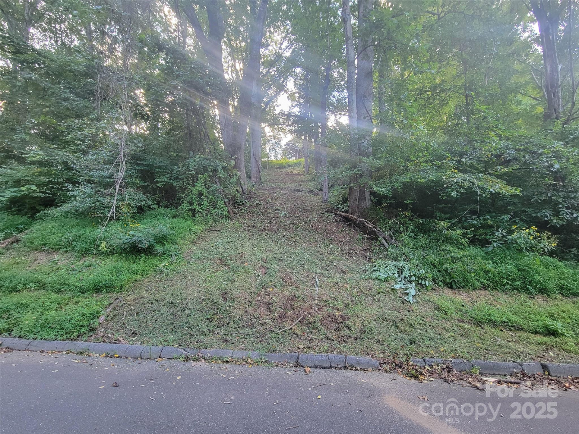 0 Blink Bonny Drive #B11 - Photo 4