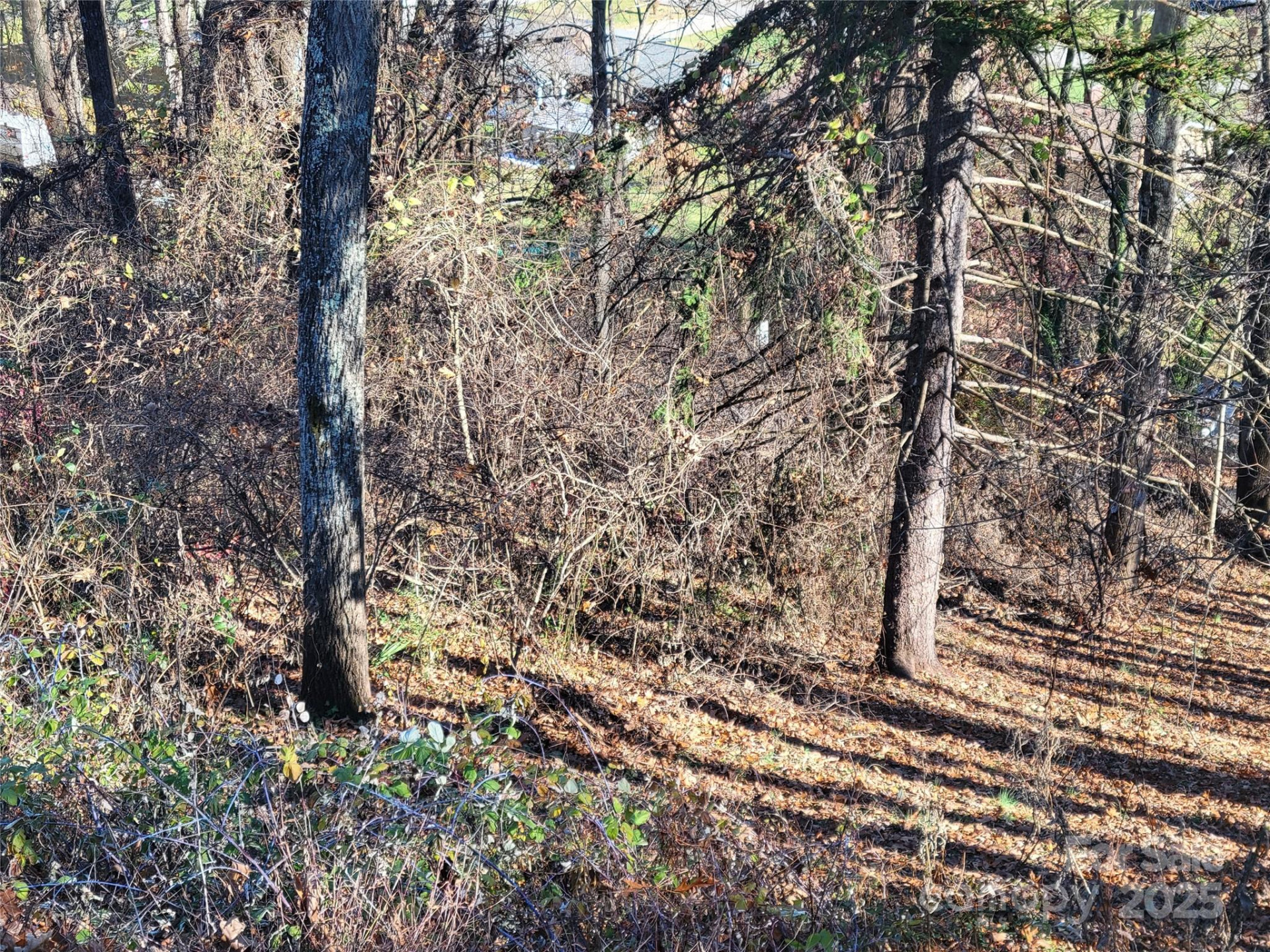 0 Blink Bonny Drive #B11 - Photo 35